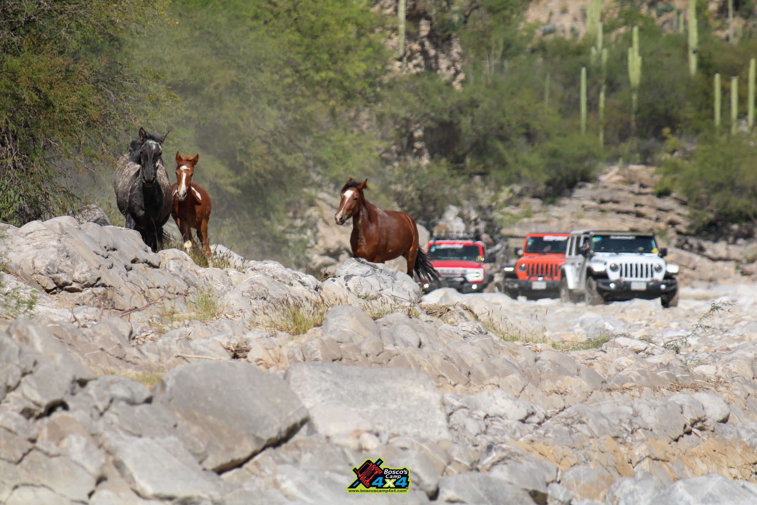 Tehuacán la ruta Cuicatlán - Bosco's Camp 4x4